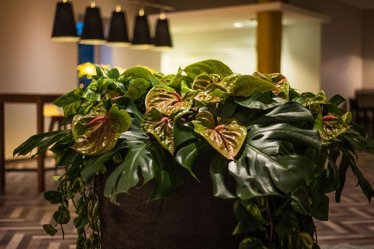 Sheraton Duesseldorf Airport Hotel Ngoại thất bức ảnh